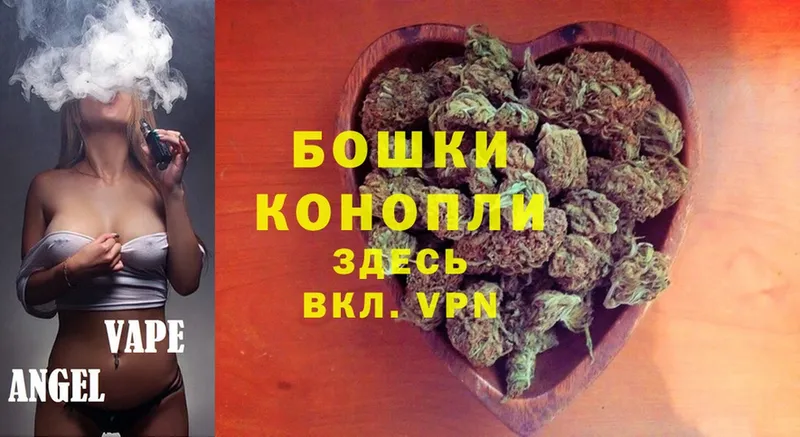 Канабис OG Kush  Сертолово 